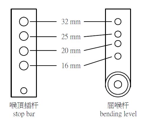 喉頂